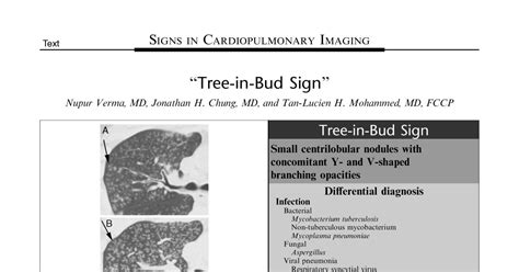 _Tree_in_Bud_Sign_.11.pdf | DocDroid