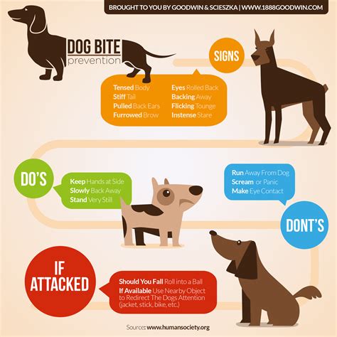 Dog Bite Prevention Facts & Infographic | Goodwin & Scieszka