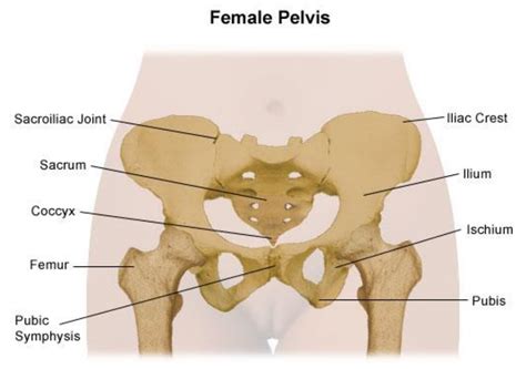 Back and Pelvic Girdle Pain in Pregnancy Advice and Exercise - Milton Keynes University Hospital