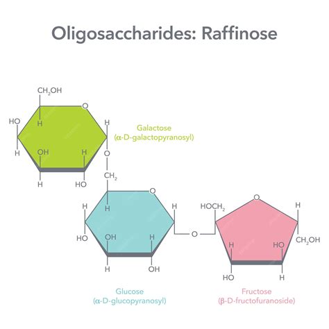 Premium Vector | Raffinose molecular structure vector illustration diagram