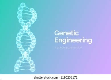 Dna Sequence Wireframe Dna Molecules Structure Stock Vector (Royalty ...