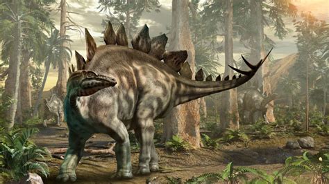 Stegosaurus Tracks Discovered | Mental Floss