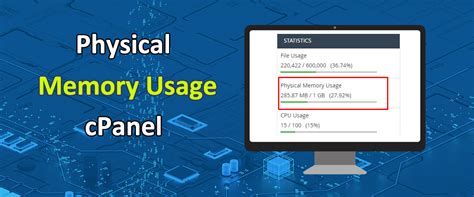 Physical Memory Usage in cPanel - How to Fix it? (2024)