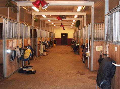 Get The Right Flooring for Your Horse Barn