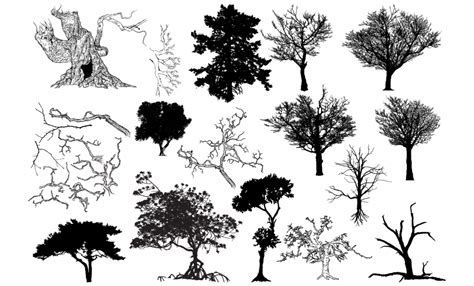 Tree Vector Shapes Pack - 2