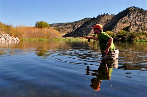 10 Tips for Dry Fly Fishing This Fall – I LOVE CATCHING FISH