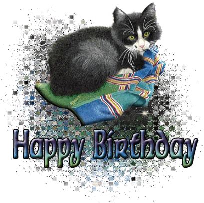 Birthday Wishes With Cats - Page 2