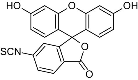 Fluorescein 6-isothiocyanate isomer 2 | Abcam