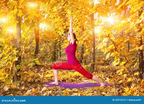 Yoga In Autumn Royalty Free Stock Images - Image: 25972219