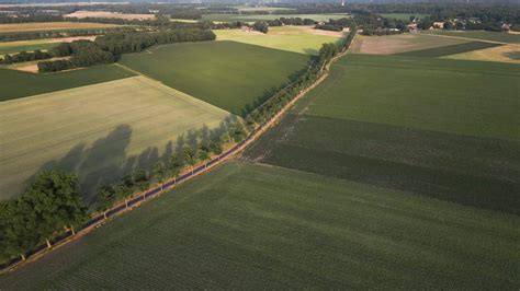 Aerial view of a field with green grass 27537377 Stock Video at Vecteezy