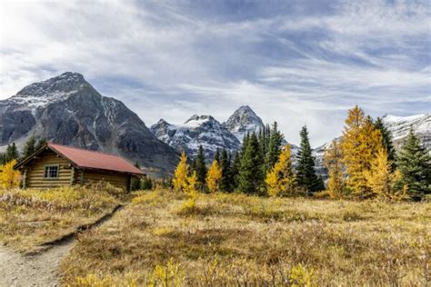 Mount Assiniboine Cabins - Alberta Nature | Jardene Photography