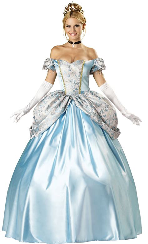 Enchanting Princess Adult Costume - Mr. Costumes