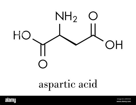 Aspartic acid (L-aspartic acid, Asp, D) amino acid molecule. Skeletal ...