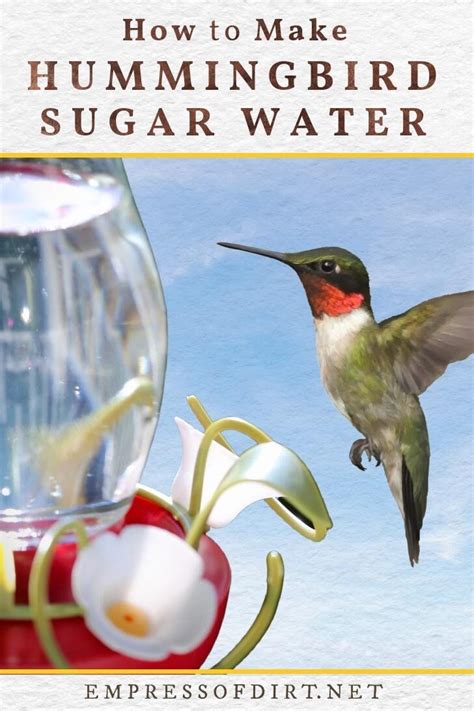 Sugar To Water Ratio For Hummingbird Feed