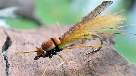 Adult stone fly - dry fly tying instructions by Ruben Martin - YouTube