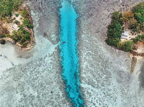 Black Coral Island – Pohnpei Eco-Adventure Guide