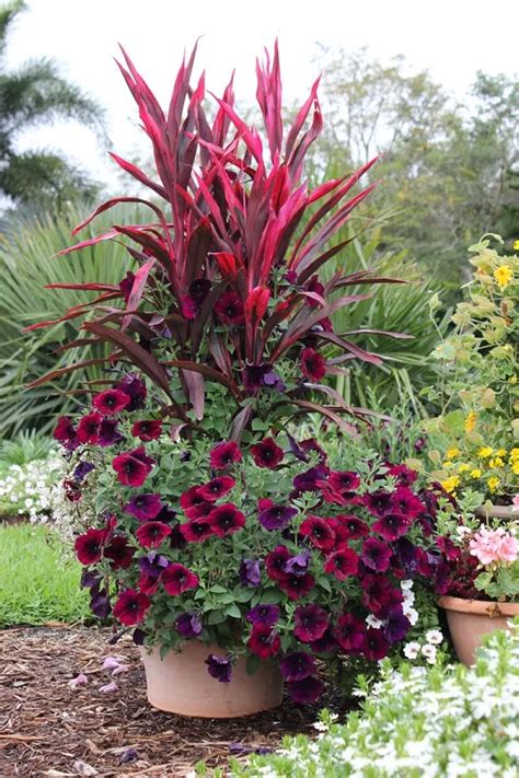 8 Stunning Container Gardening Ideas – Home and Garden Full Sun ...