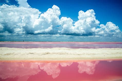 Las Coloradas, the pink beach of Yucatan | Catalonia Hotels & Resorts Blog