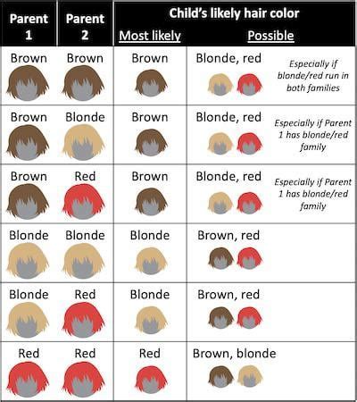 What hair color will my children have? It's actually hard to predict! Even though we often talk ...