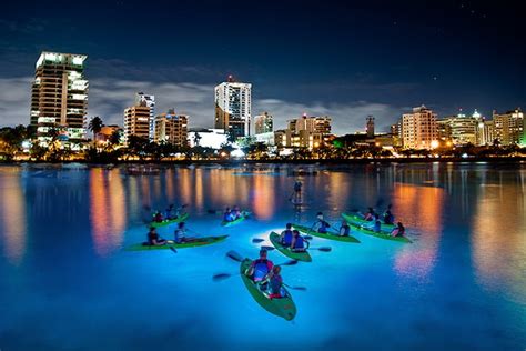 Experience the GLOW on our LED Night Kayaking Adventure