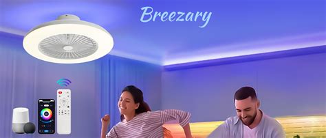 Amazon.com: 20" Enclosed Smart Ceiling Fans with Lights and Remote, Low ...