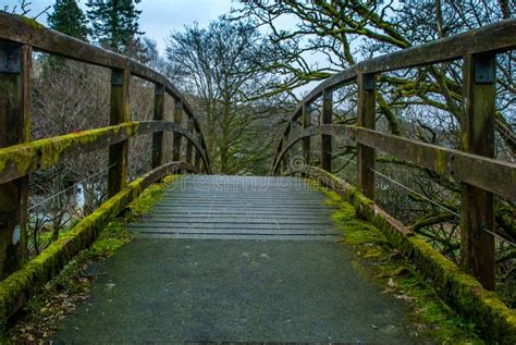 Wooden Bridge Over Creek In Lake District Stock Photo - Image of park, wooden: 146230836