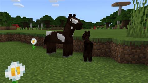 Minecraft horses guide – locations and how to tame them - EnD# Gaming