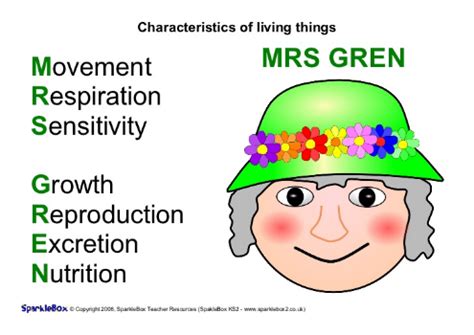 seven life process of living things - Google Search | Characteristics of living things, Teaching ...