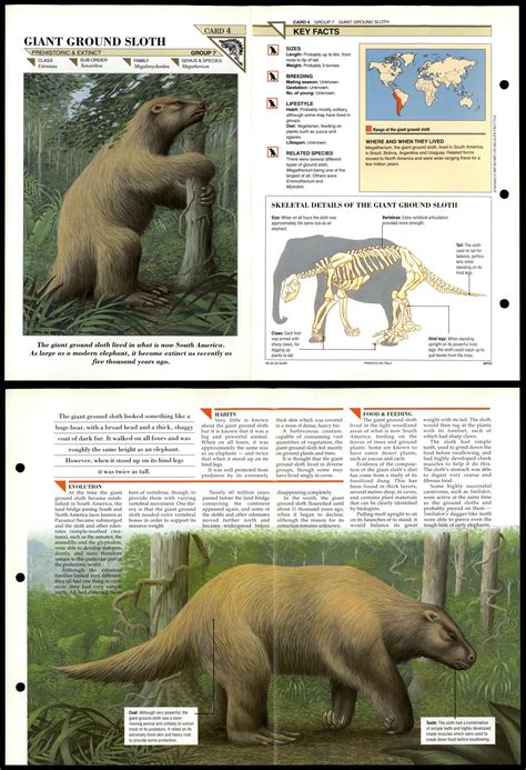 Giant Ground Sloth #4 Extinct Wildlife Fact File Fold-Out Card