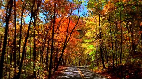 Take a drive through Arkansas's signature fall foliage - YouTube