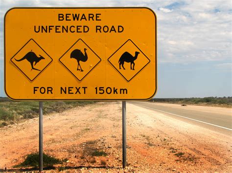 Dosiero:Australia animal warning sign.jpg - Vikipedio