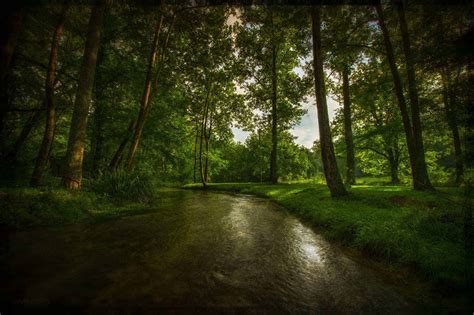 Cumberland Trail State Scenic Trail - American Hiking Society