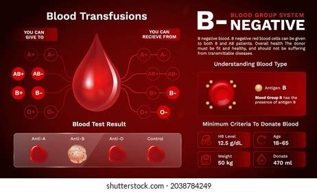 B Positive Blood Group Characteristics Additional Stock Vector (Royalty Free) 2038784261 ...