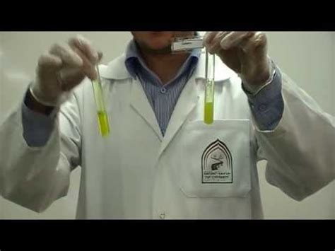 Picric Acid's test Part 2: to differentiate between Gelatin & peptone - YouTube