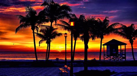 Tropical Sunset 4K Wallpapers - 4k, HD Tropical Sunset 4K Backgrounds ...