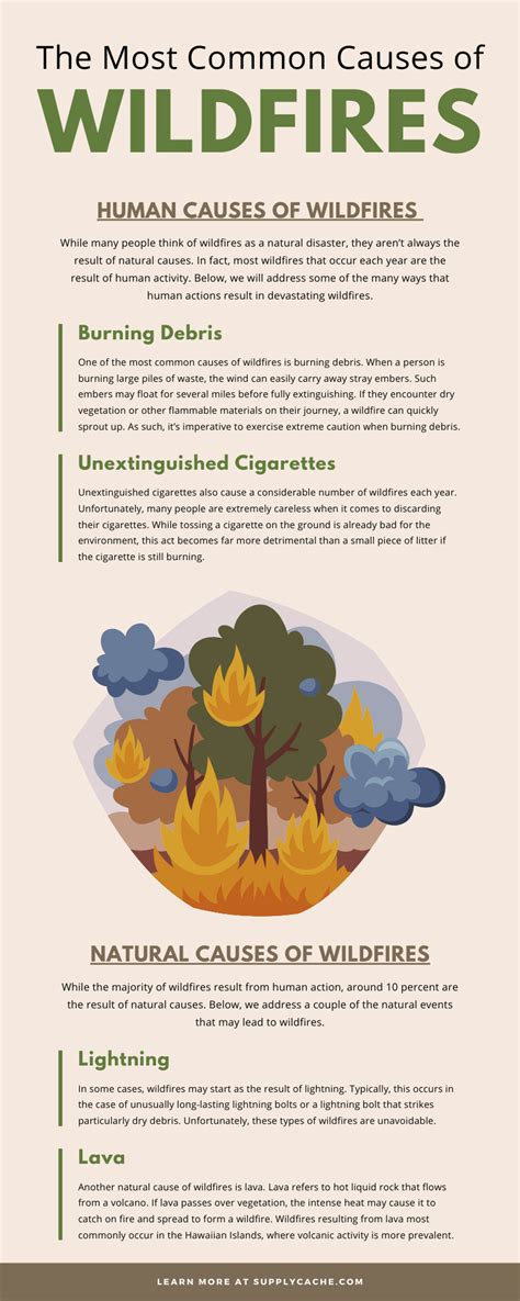 The Most Common Causes of Wildfires