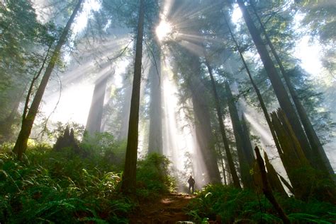 Del Norte Coast Redwoods State Park Map