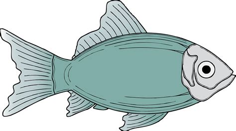 Free Cod Fish Cartoon, Download Free Cod Fish Cartoon png images, Free ...