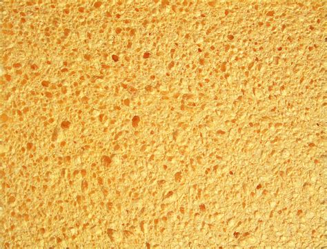 Cellulose foam sponge textures | Free paper texture, Texture ...