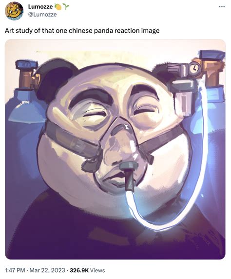 Art study of that one chinese panda reaction image | Chinese Panda ...