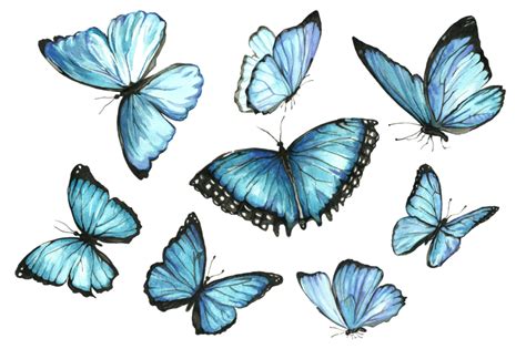 Set of watercolor blue butterflies By Art watercolor | TheHungryJPEG