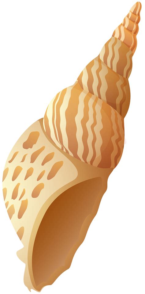 Free Beach Shell Cliparts, Download Free Beach Shell Cliparts png ...