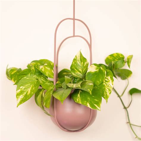 Indoor Hanging Plant Pots Plastic : 6 pockets flower pots vertical ...