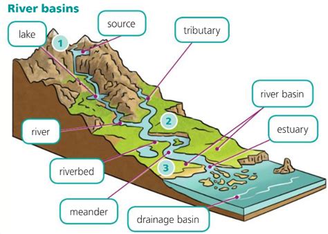 The little leprechaun: Rivers. A river basin