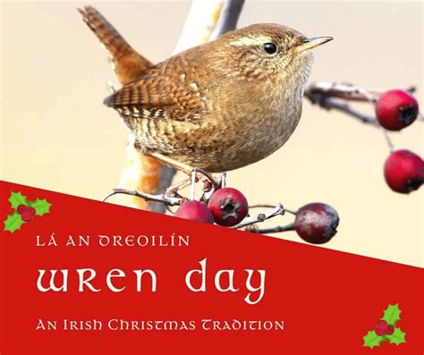 Wren Day - An Irish Tradition On Saint Stephen's Day