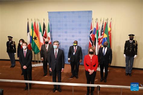 5 countries assume responsibilities as elected members of UN Security ...