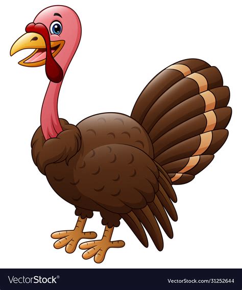 Cartoon smiling a turkey bird isolated on white ba