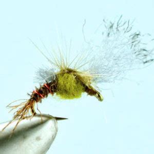 Mayfly Nymphs for Sale | Mayfly Dry Flies