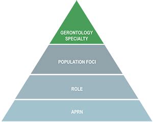 APRN Consensus Model | Gerontological Advanced Practice Nurses Association (GAPNA)