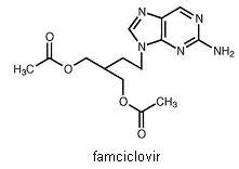 Famciclovir: Package Insert - Drugs.com